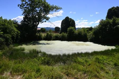 2_Drskovški večji pred obnovo